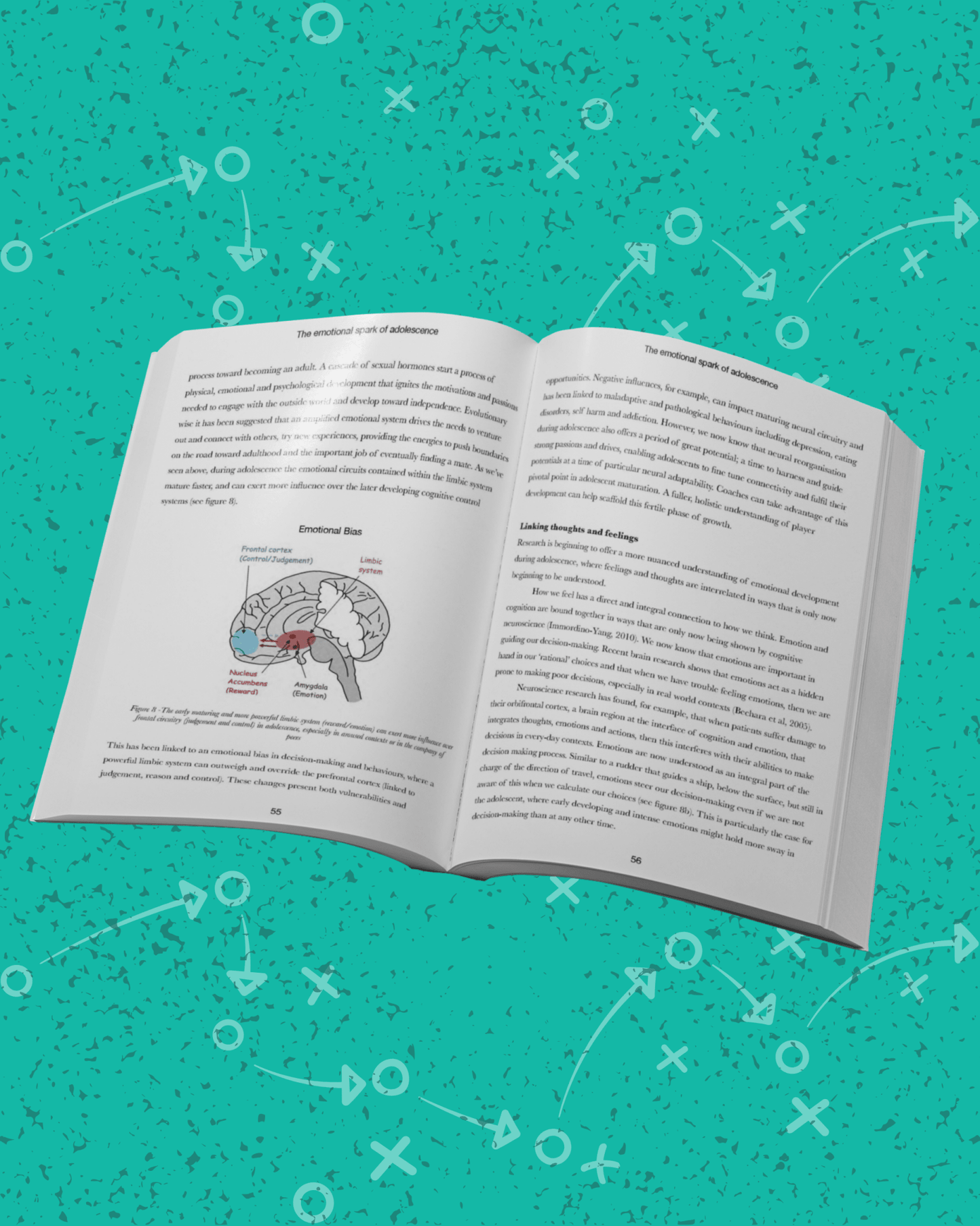 Coaching Football with the Adolescent Brain in Mind 2nd Edition - Thefootballcoach