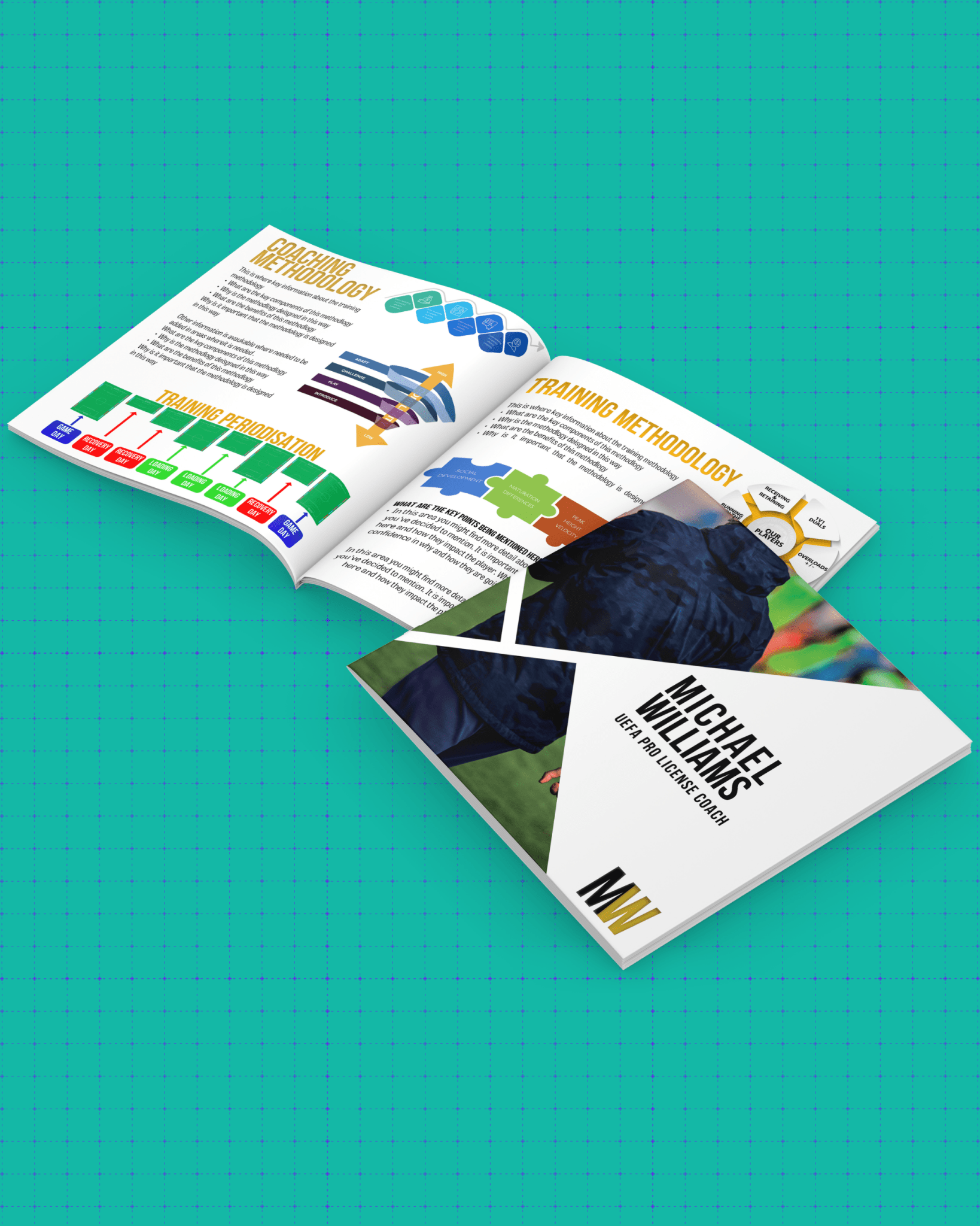 Professional Coach CV Design - Thefootballcoach