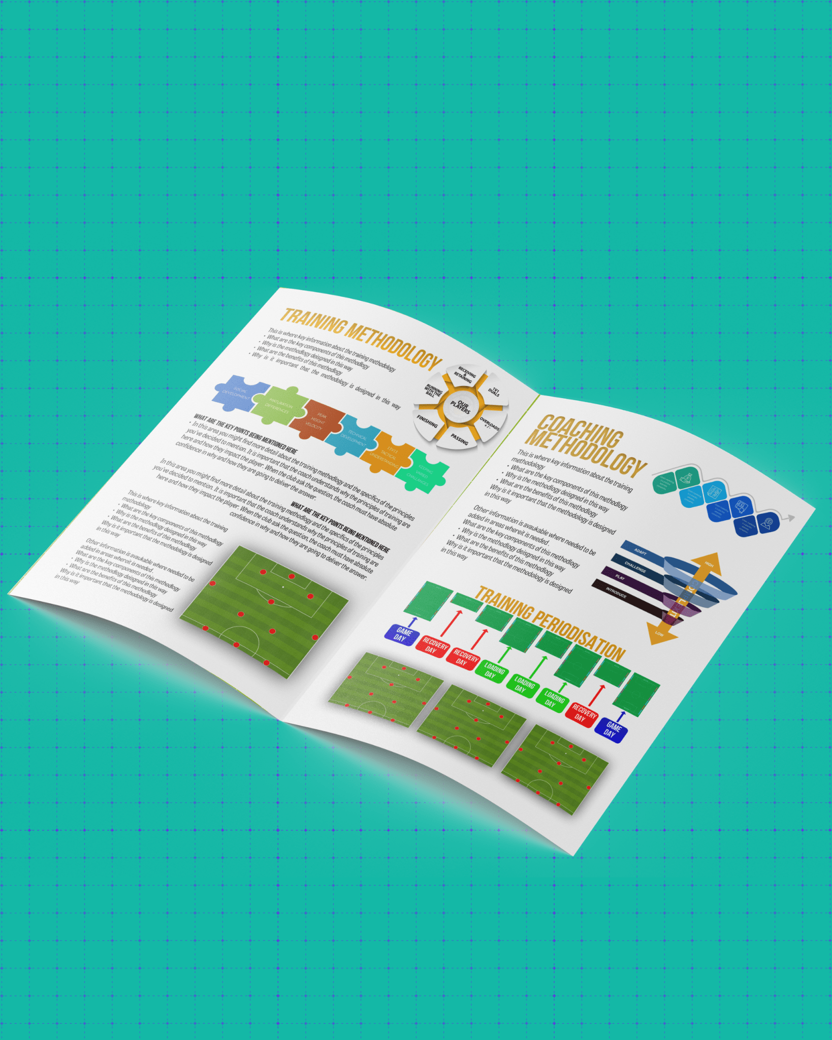 Professional Coach CV Design - Thefootballcoach