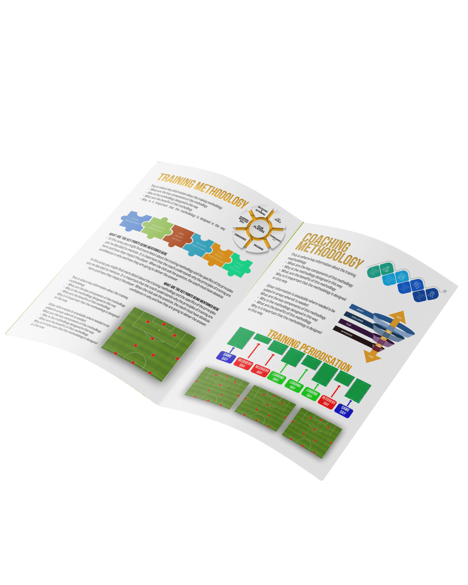 Professional Coaching Philosophy Document - Thefootballcoach