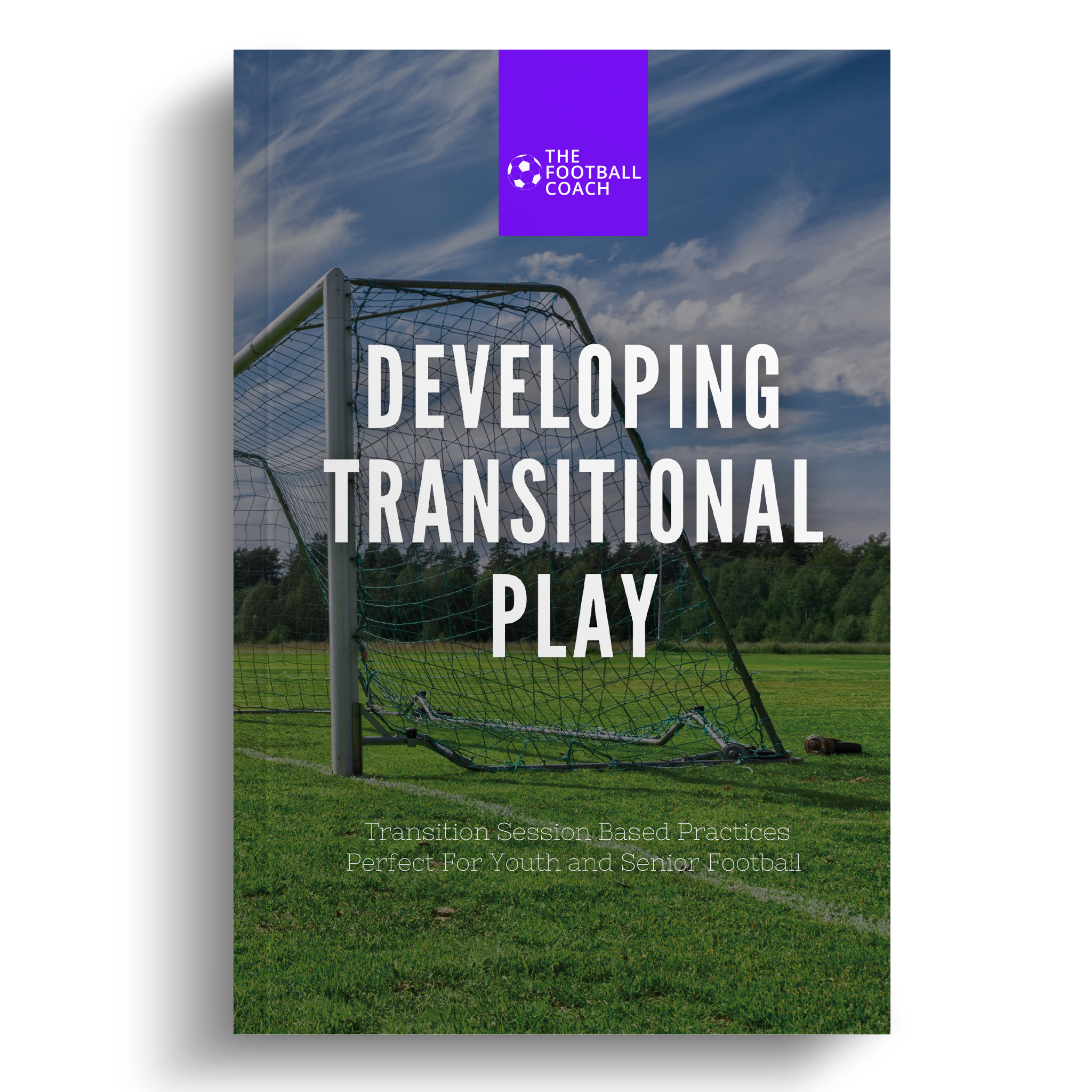 Developing Transitional Play