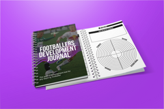 PlayerPAD: Player Development Journal