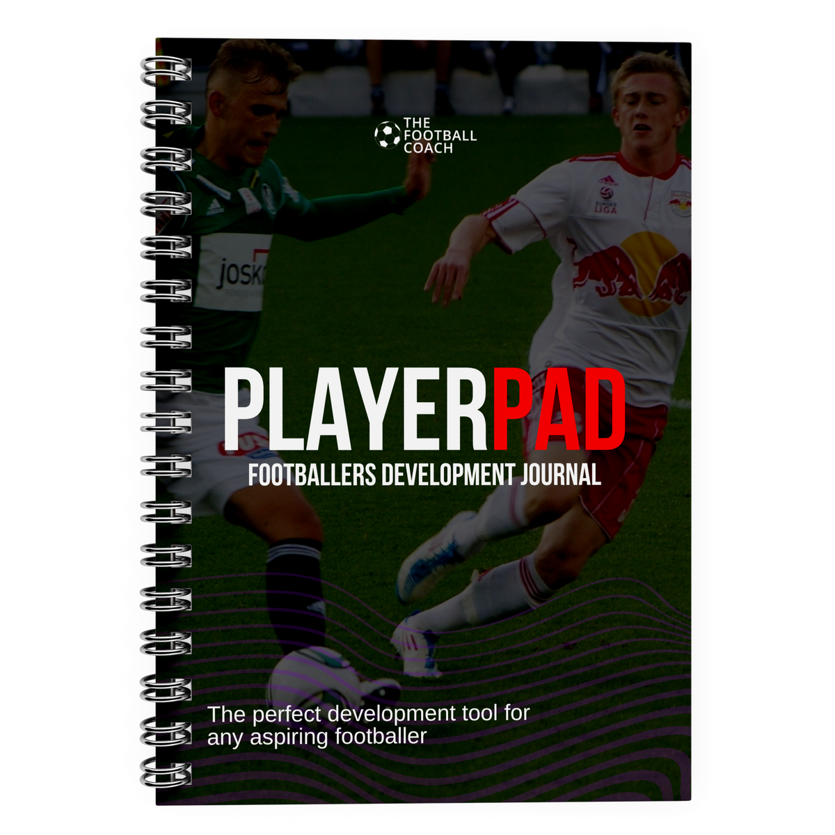 PlayerPAD: Player Development Journal